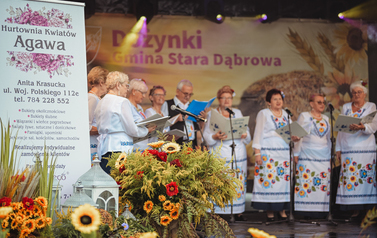 2208 Dożynki 2022 Krzywnica (album) 140 [2048]