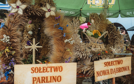 Dożynkowe konkursy  53