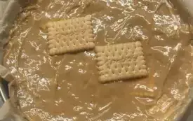 462534369_505445025636315_4537463935026511120_n