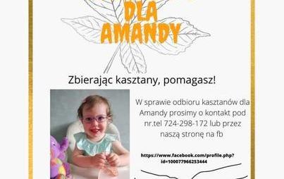 Zdjęcie do Zbi&oacute;rka dla Amandy