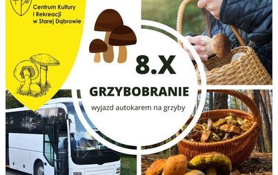 Zdjęcie do GRZYBOBRANIE