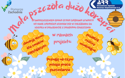 Zdjęcie do Mała pszczoła, dużo korzyści
