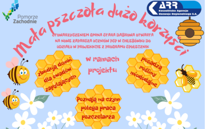 Zdjęcie do Mała pszczoła, dużo korzyści
